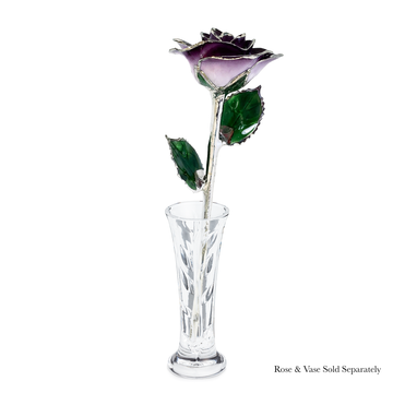 Platinum Forever Rose - Purple 2-Tone