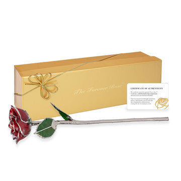 Platinum Forever Rose - Red