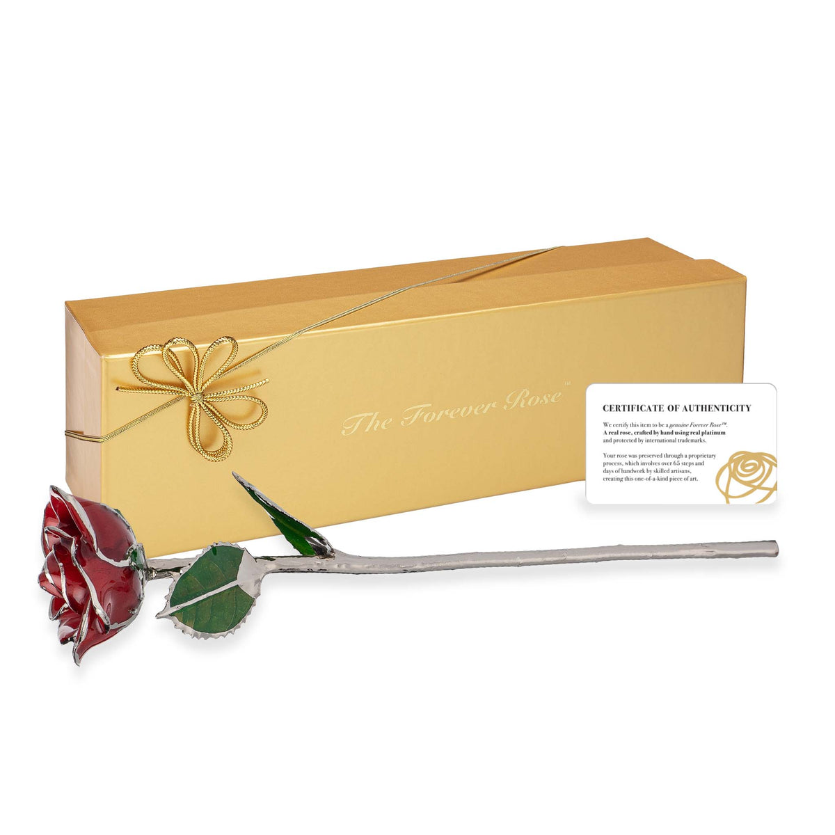 Platinum Forever Rose - Red