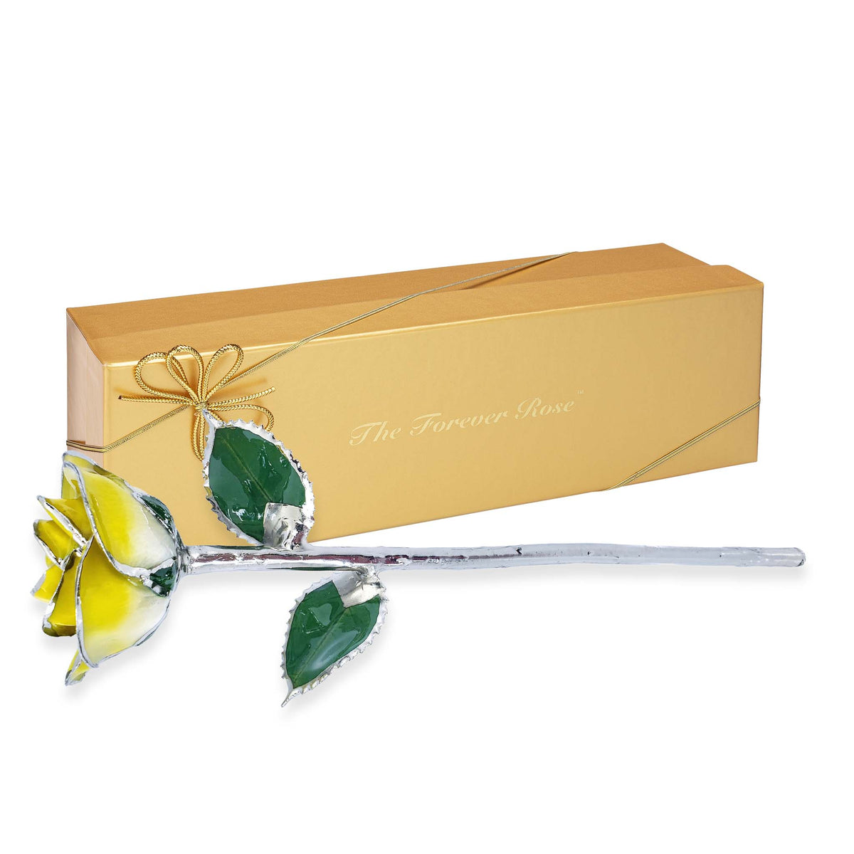 Platinum Forever Rose - Sunny Day