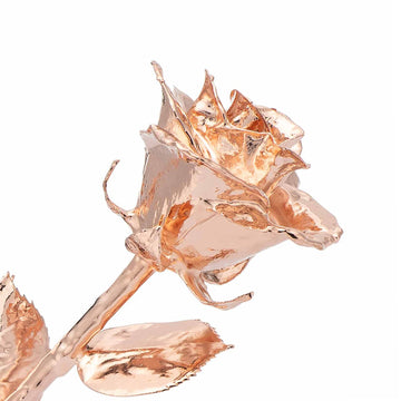 "We Are Blessed" Personalized Rose Gold Forever Rose Combo with Bloom Box & Phantom Vase™ Combo