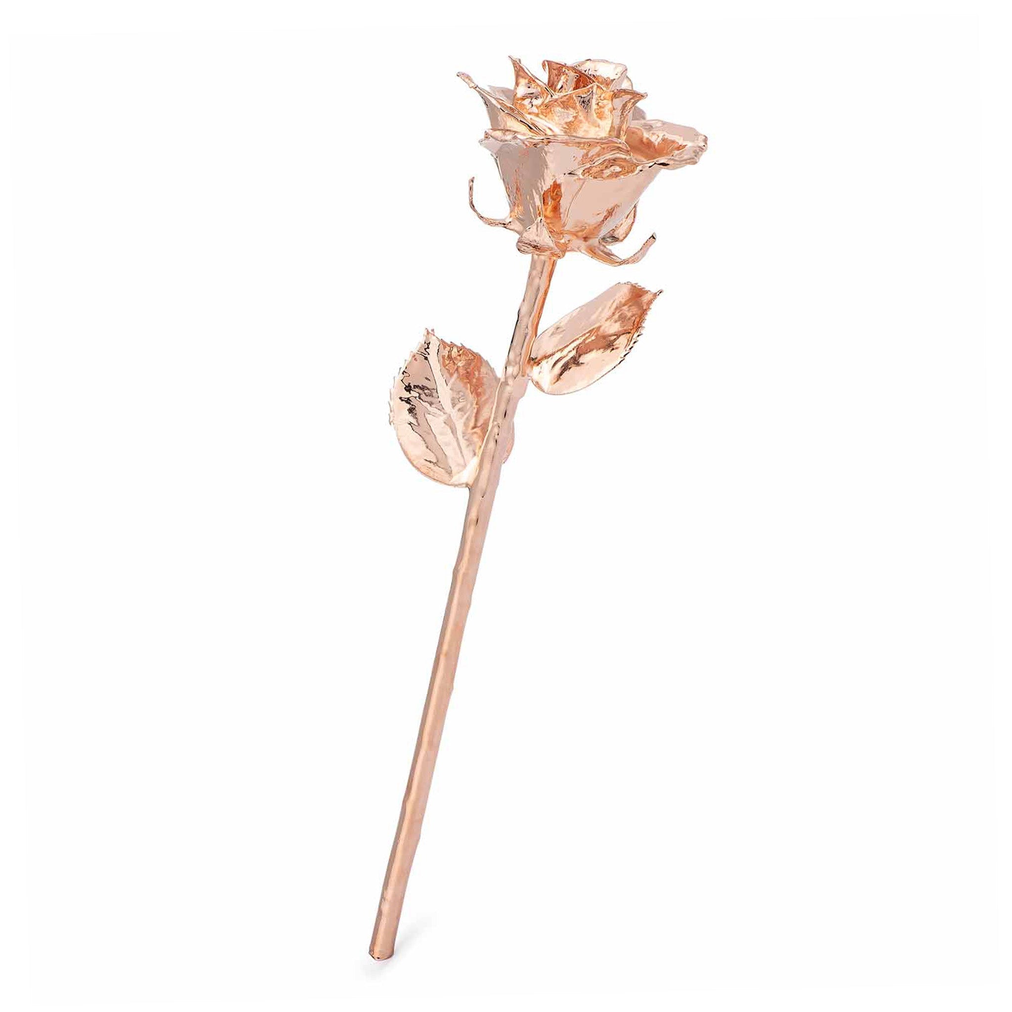 "'Til The Last Petal Falls" Personalized Rose Gold Forever Rose Combo with Bloom Box & Phantom Vase™ Combo