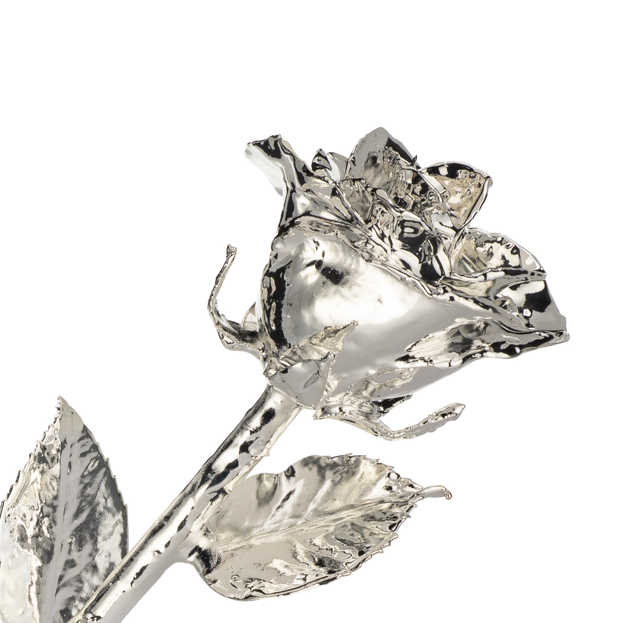 "Mom You Are Loved" Personalized Silver Forever Rose Combo with Bloom Box & Phantom Vase™ Combo
