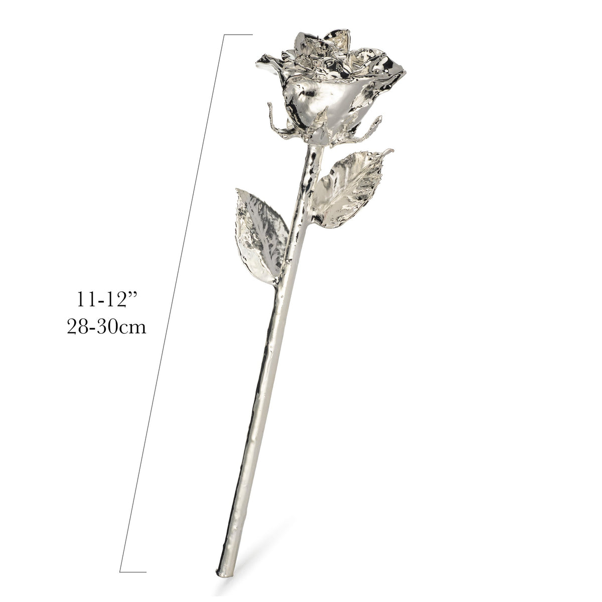 &quot;Be My Valentine&quot; Personalized Silver Forever Rose Combo with Bloom Box &amp; Phantom Vase™ Combo