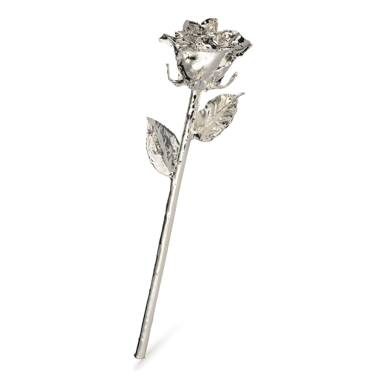 &quot;Be My Valentine&quot; Personalized Silver Forever Rose Combo with Bloom Box &amp; Phantom Vase™ Combo