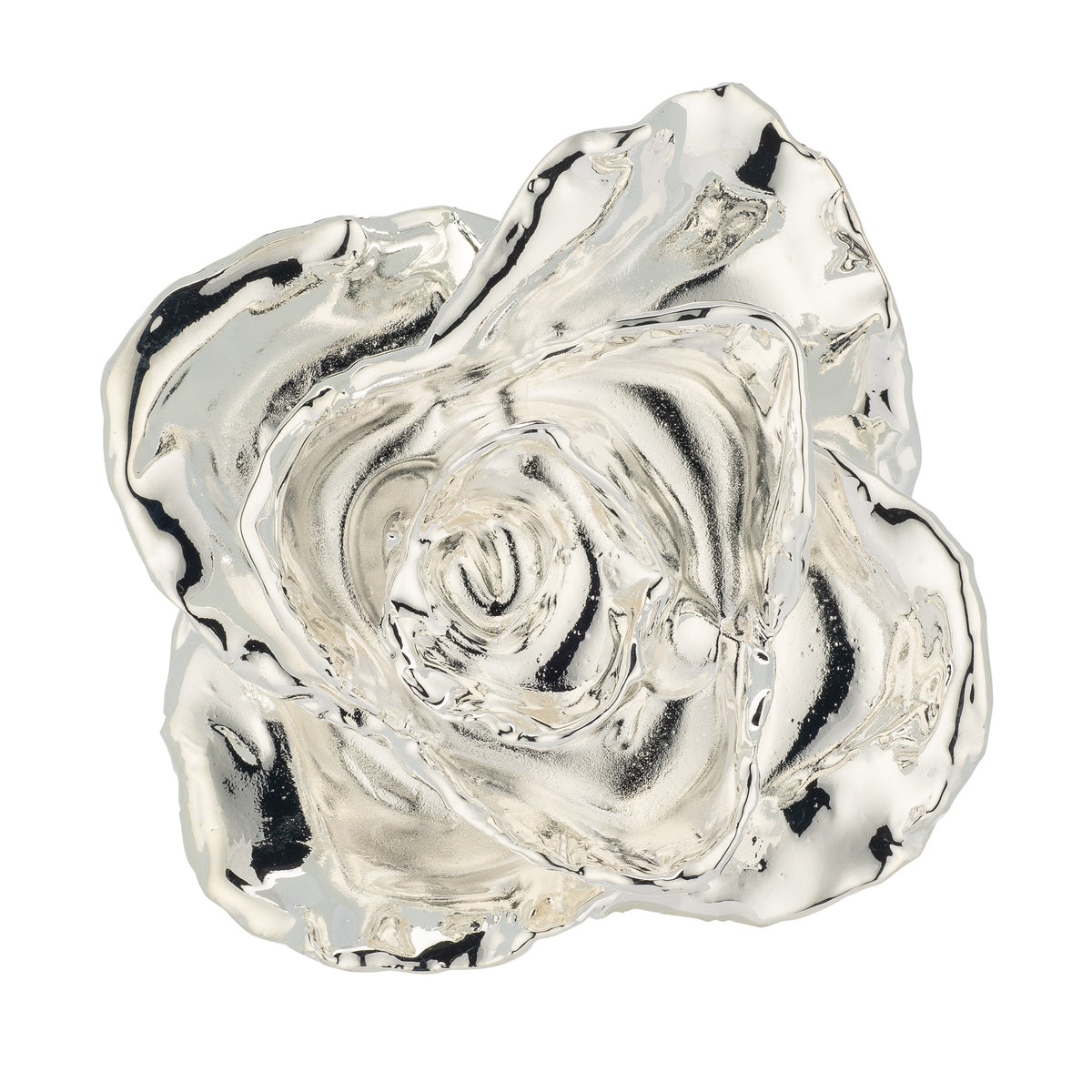 &quot;&#39;Til The Last Petal Falls&quot; Personalized Silver Forever Rose Combo with Bloom Box &amp; Phantom Vase™ Combo