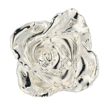 "Be My Valentine" Personalized Silver Forever Rose Combo with Bloom Box & Phantom Vase™ Combo