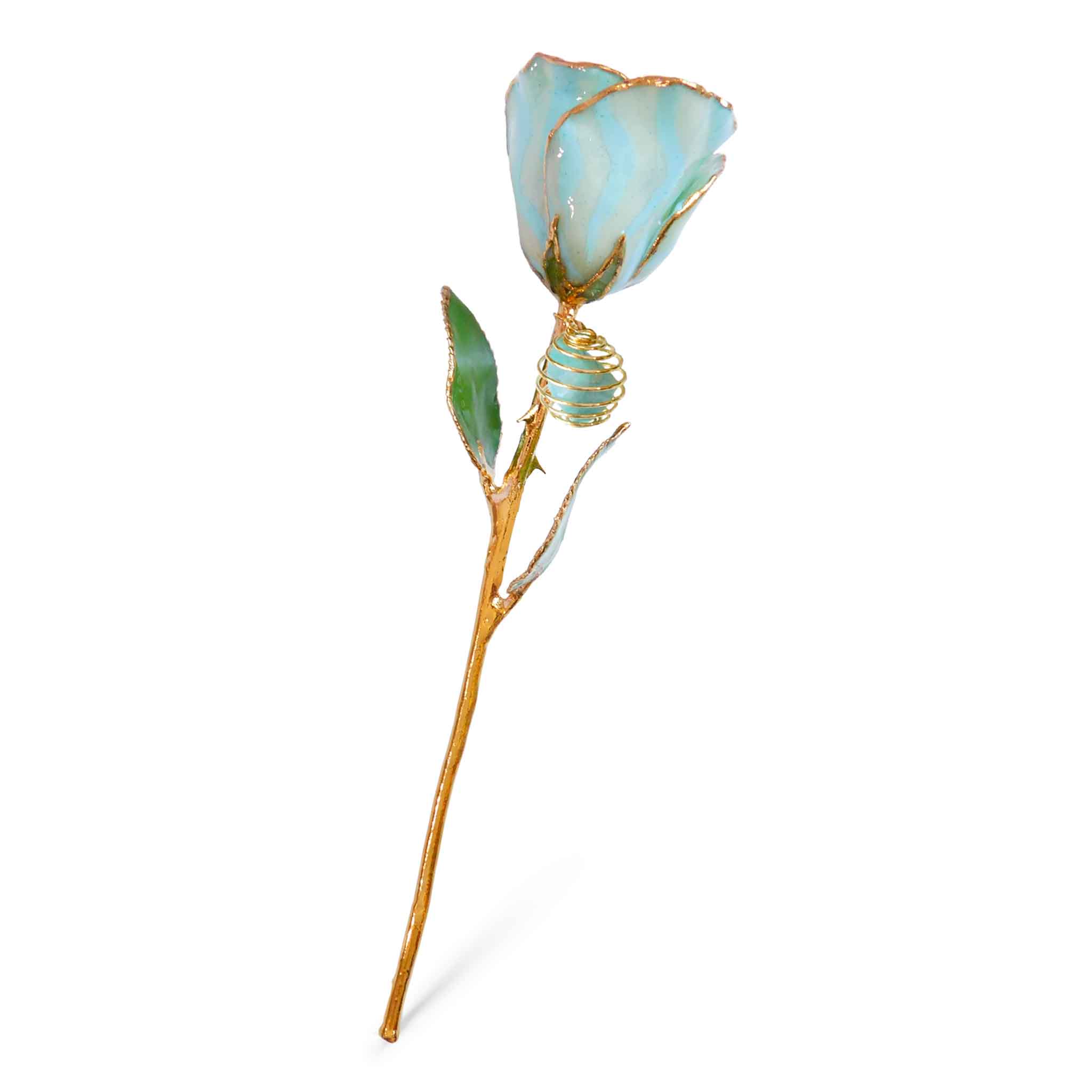 24K Gold Forever Rose - Amazonite