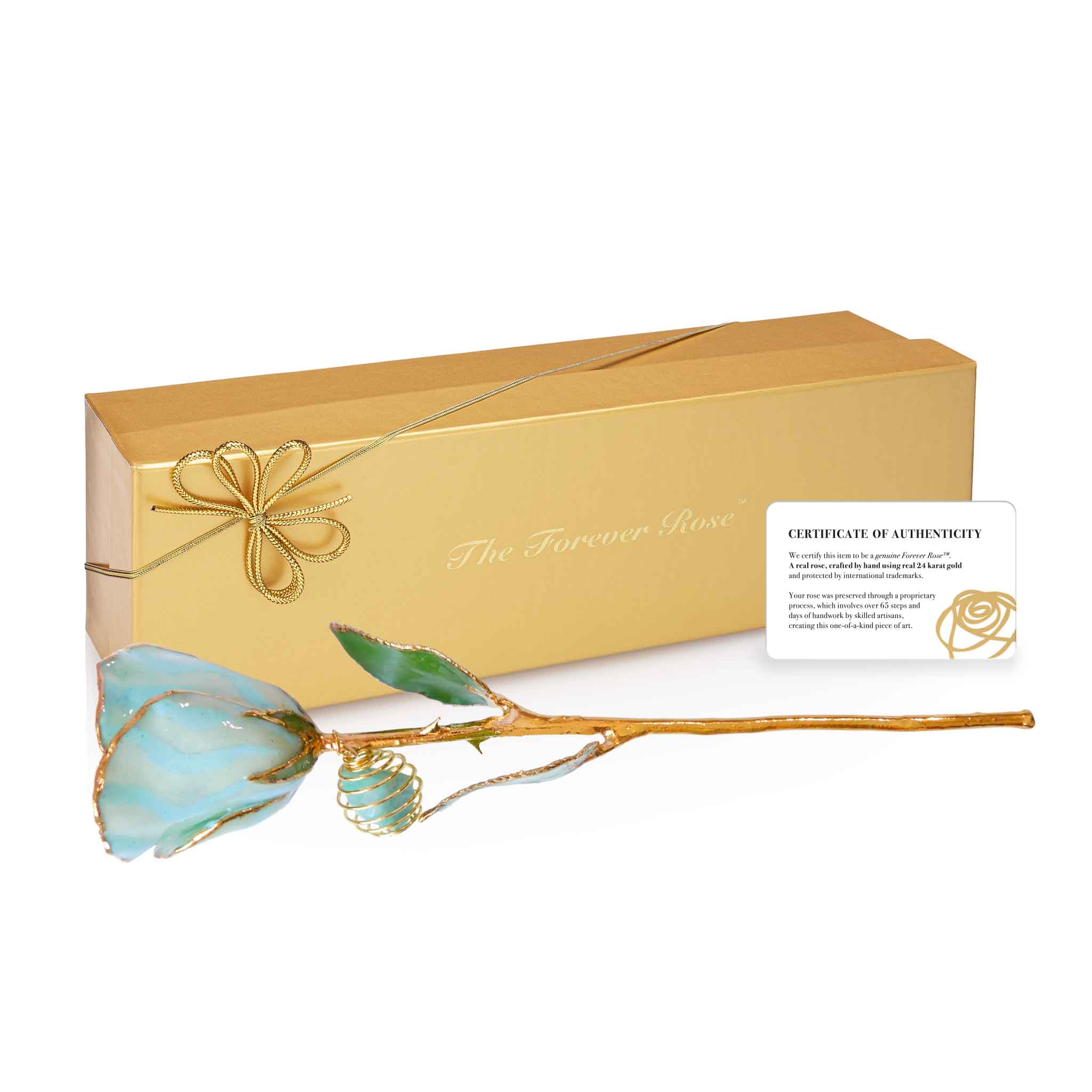 24K Gold Forever Rose - Amazonite