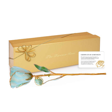 24K Gold Forever Rose - Amazonite