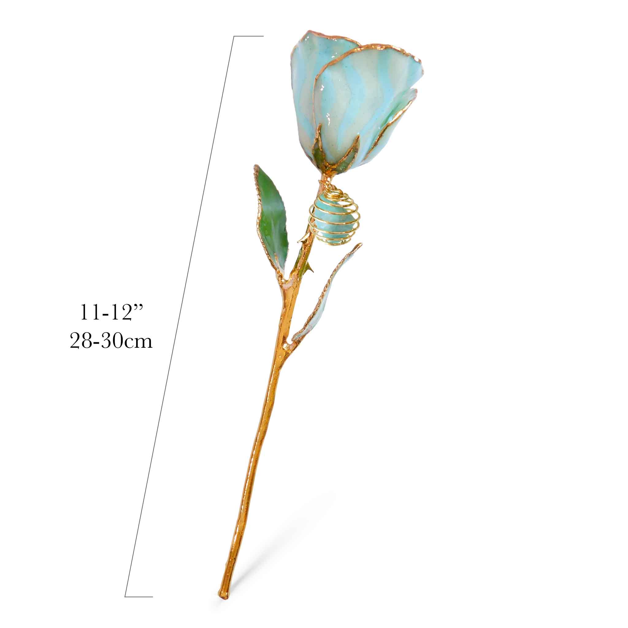 24K Gold Forever Rose - Amazonite