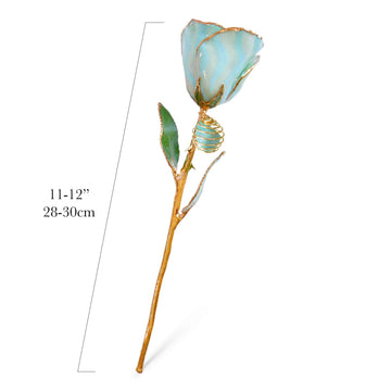 24K Gold Forever Rose - Amazonite
