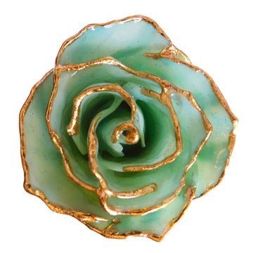 24K Gold Forever Rose - Amazonite