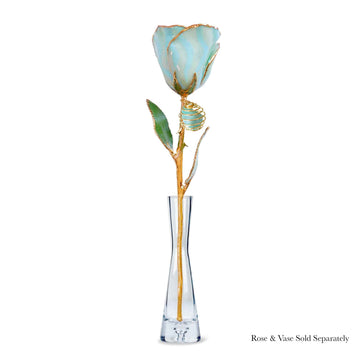 24K Gold Forever Rose - Amazonite