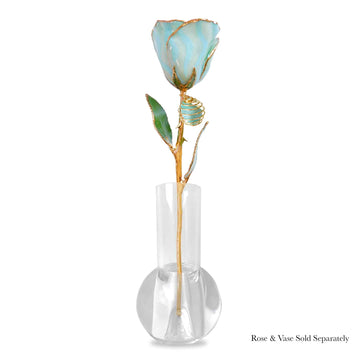 24K Gold Forever Rose - Amazonite