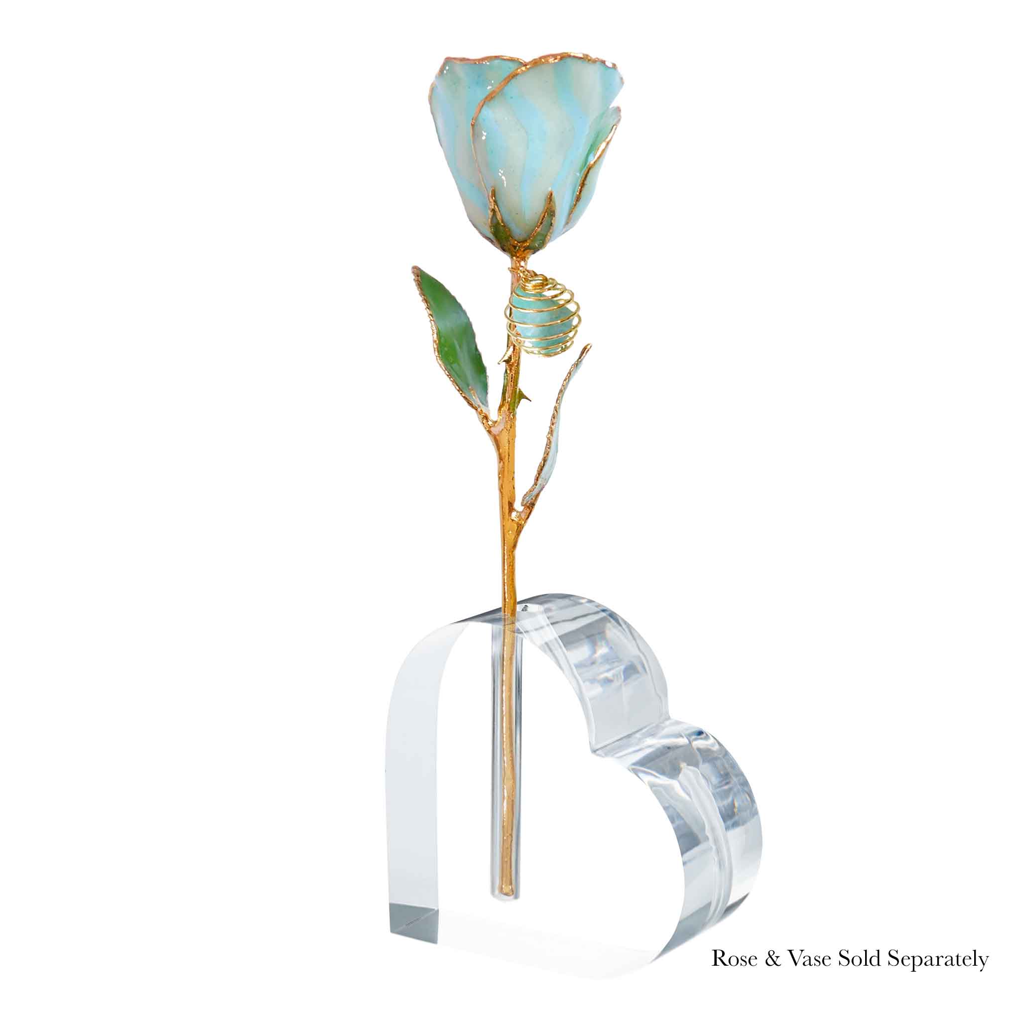 24K Gold Forever Rose - Amazonite