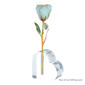 24K Gold Forever Rose - Amazonite