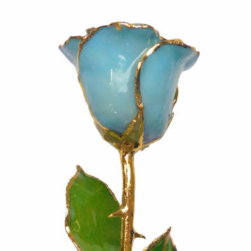 24K Gold Forever Rose - Baby Blue