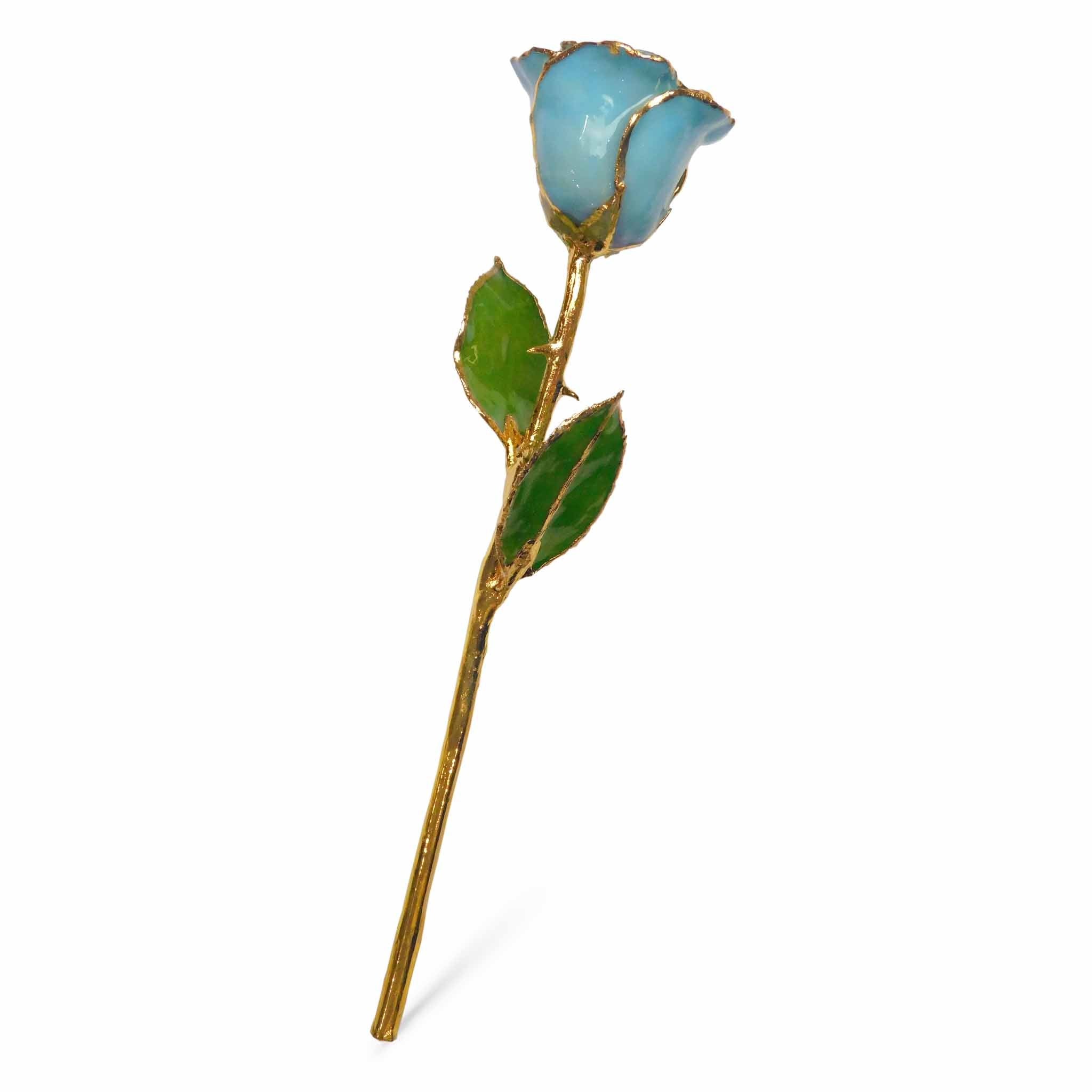 24K Gold Forever Rose - Baby Blue