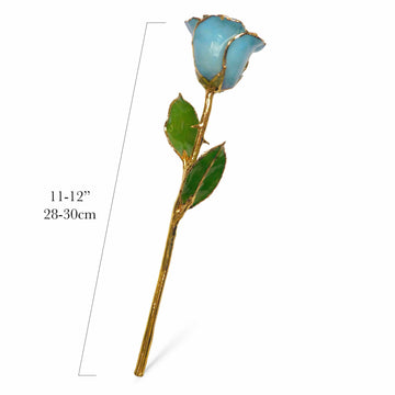24K Gold Forever Rose - Baby Blue