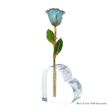 24K Gold Forever Rose - Baby Blue