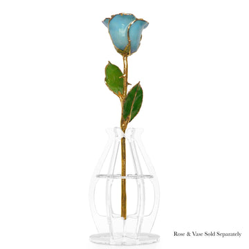 24K Gold Forever Rose - Baby Blue