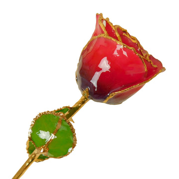 24K Gold Forever Rose - Cabernet (Wine Not Included)