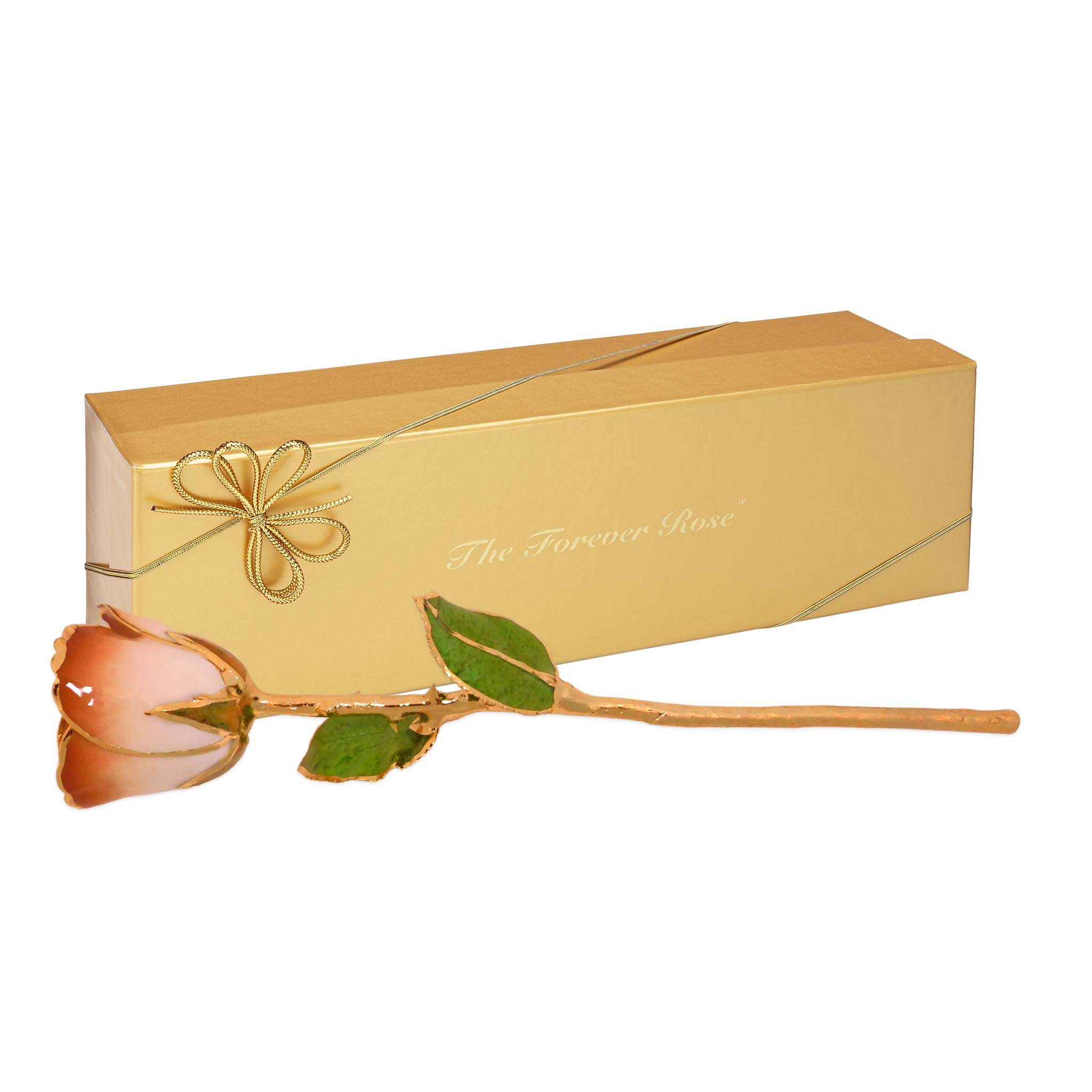24K Gold Forever Rose - Cappuccino