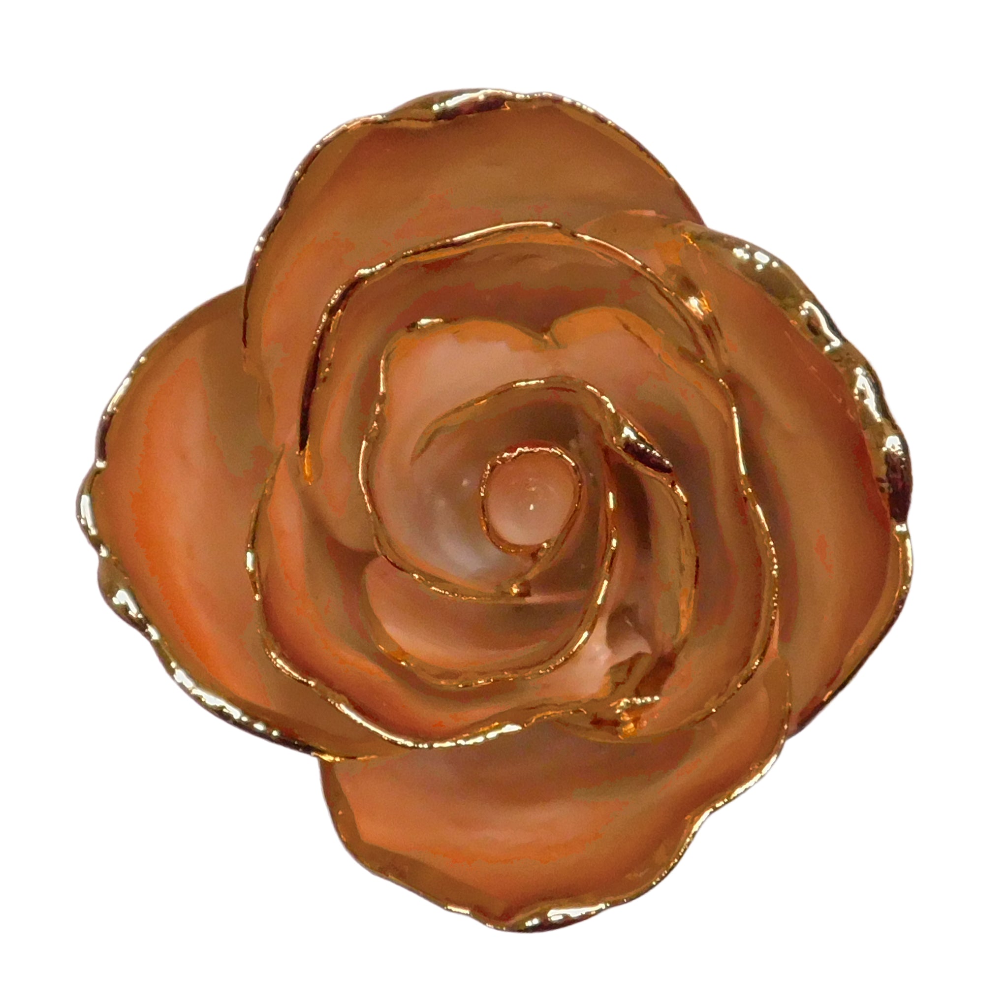 24K Gold Forever Rose - Cappuccino