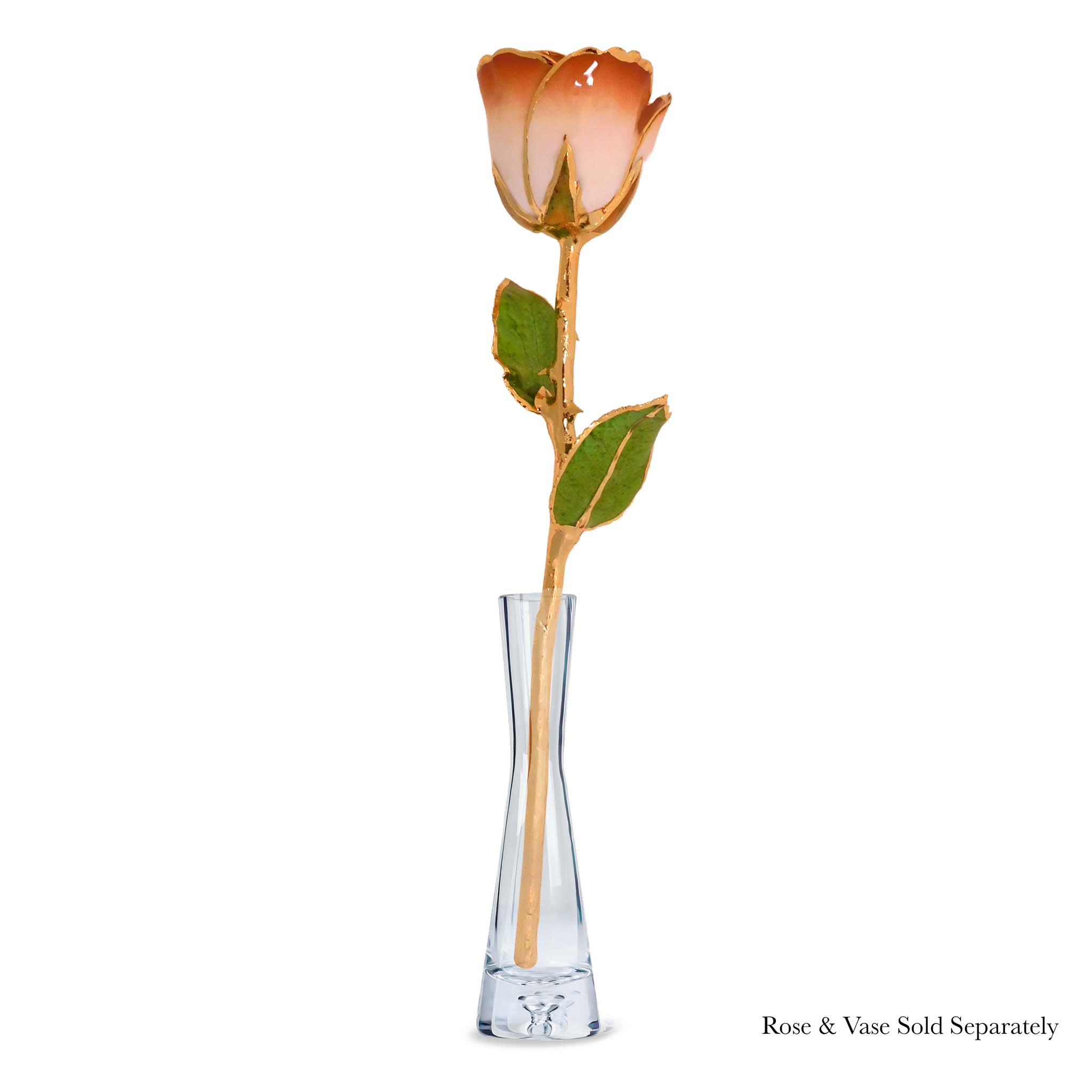 24K Gold Forever Rose - Cappuccino