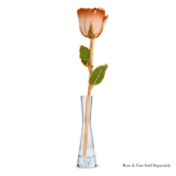 24K Gold Forever Rose - Cappuccino