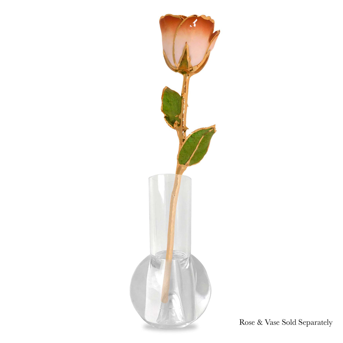 24K Gold Forever Rose - Cappuccino