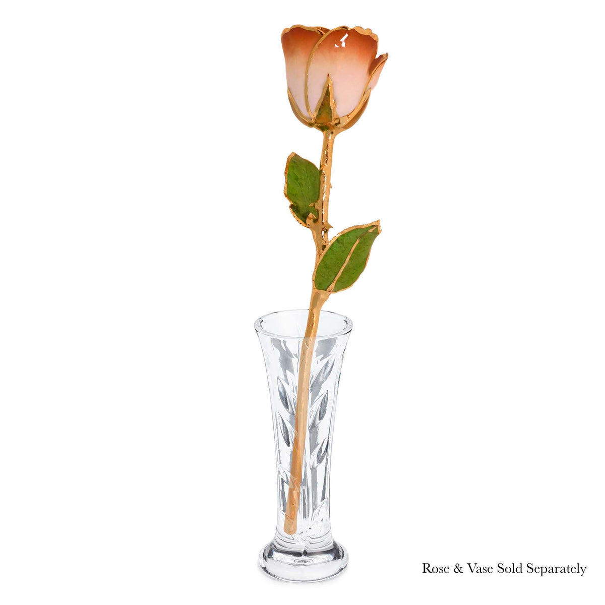 24K Gold Forever Rose - Cappuccino