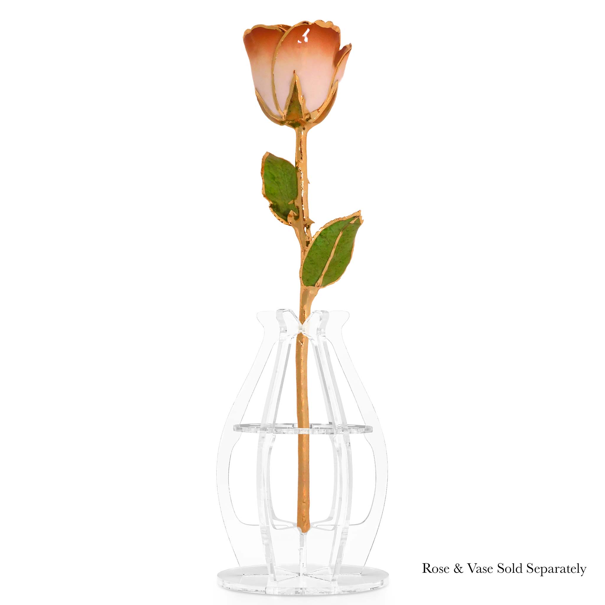 24K Gold Forever Rose - Cappuccino