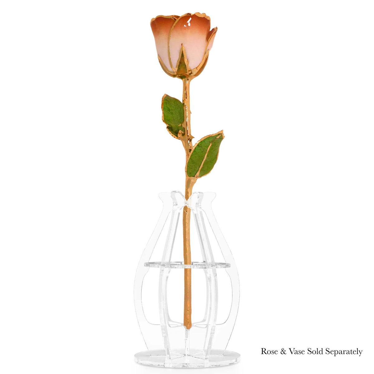 24K Gold Forever Rose - Cappuccino