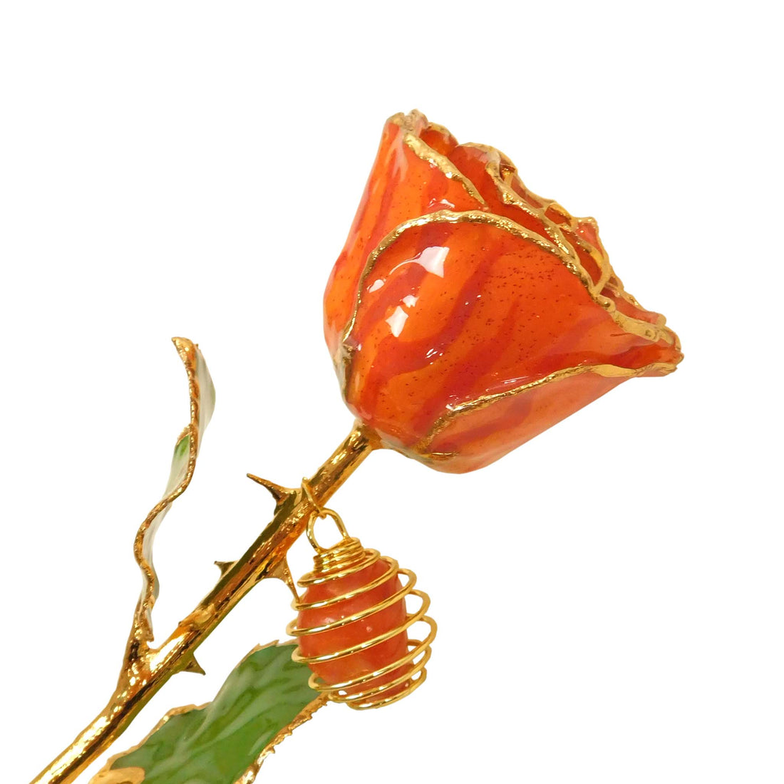 24K Gold Forever Rose - Carnelian