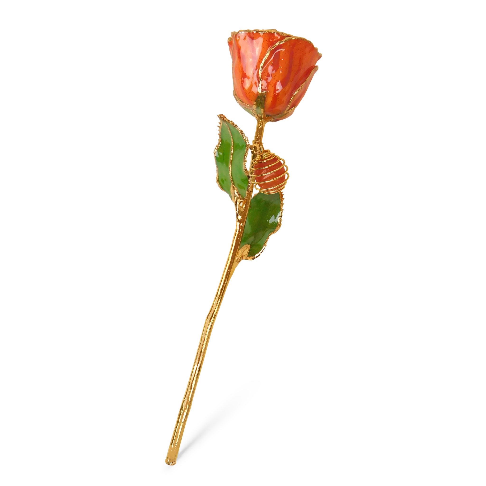 24K Gold Forever Rose - Carnelian