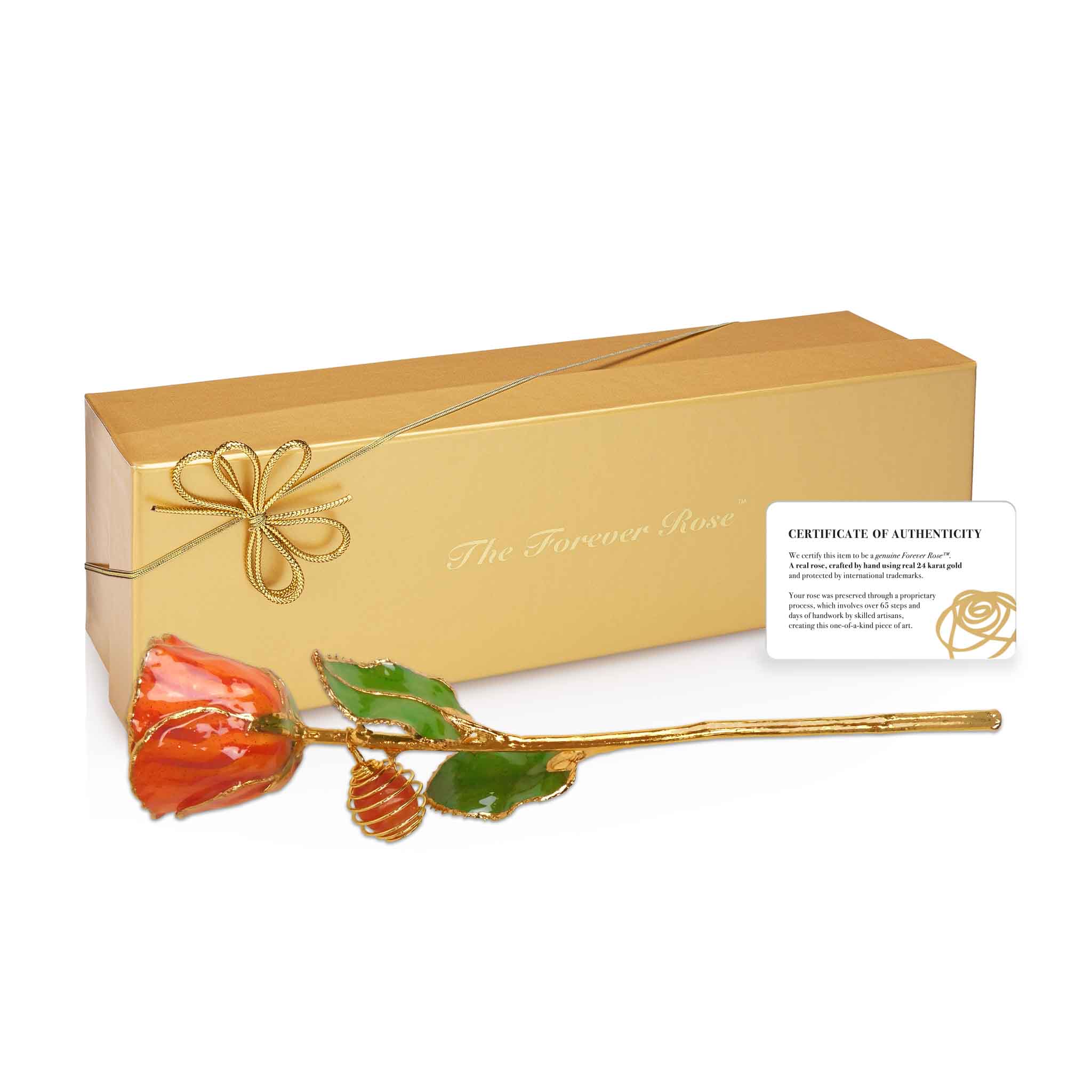 24K Gold Forever Rose - Carnelian