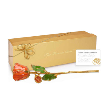 24K Gold Forever Rose - Carnelian