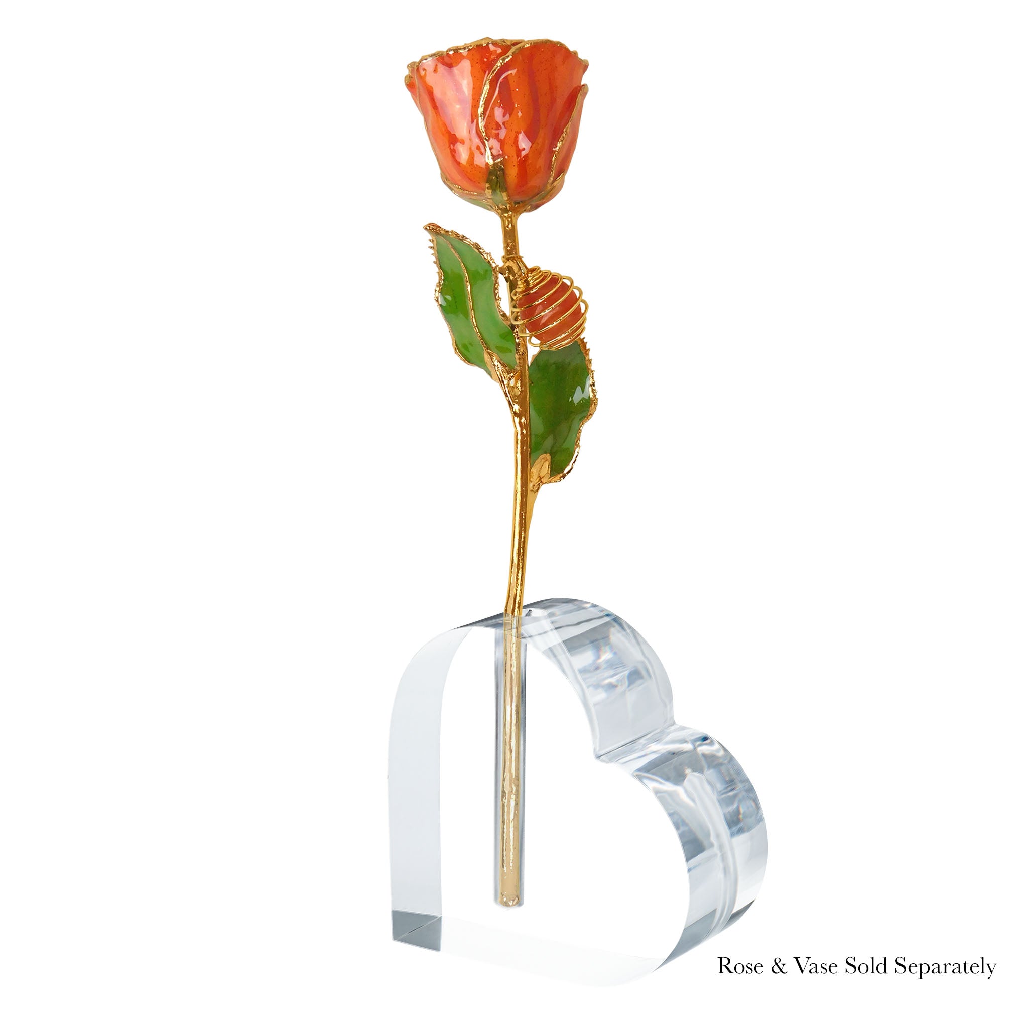 24K Gold Forever Rose - Carnelian