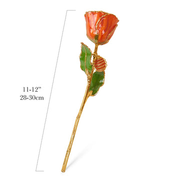 24K Gold Forever Rose - Carnelian