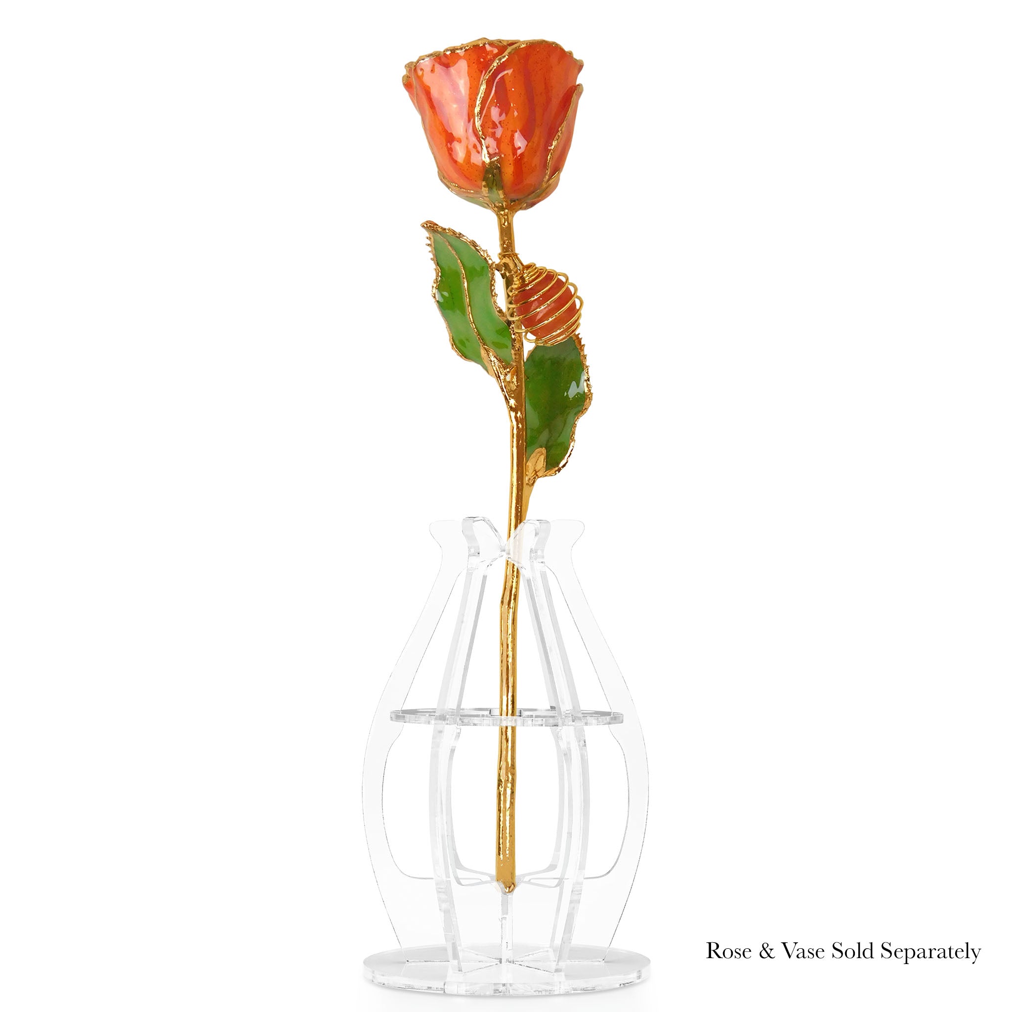 24K Gold Forever Rose - Carnelian