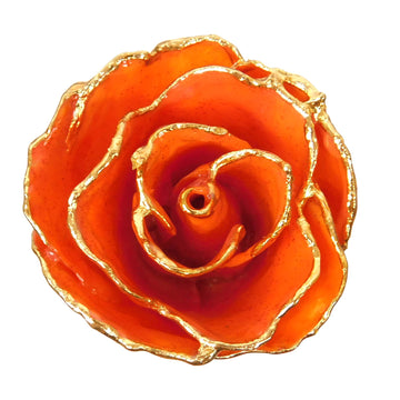 24K Gold Forever Rose - Carnelian