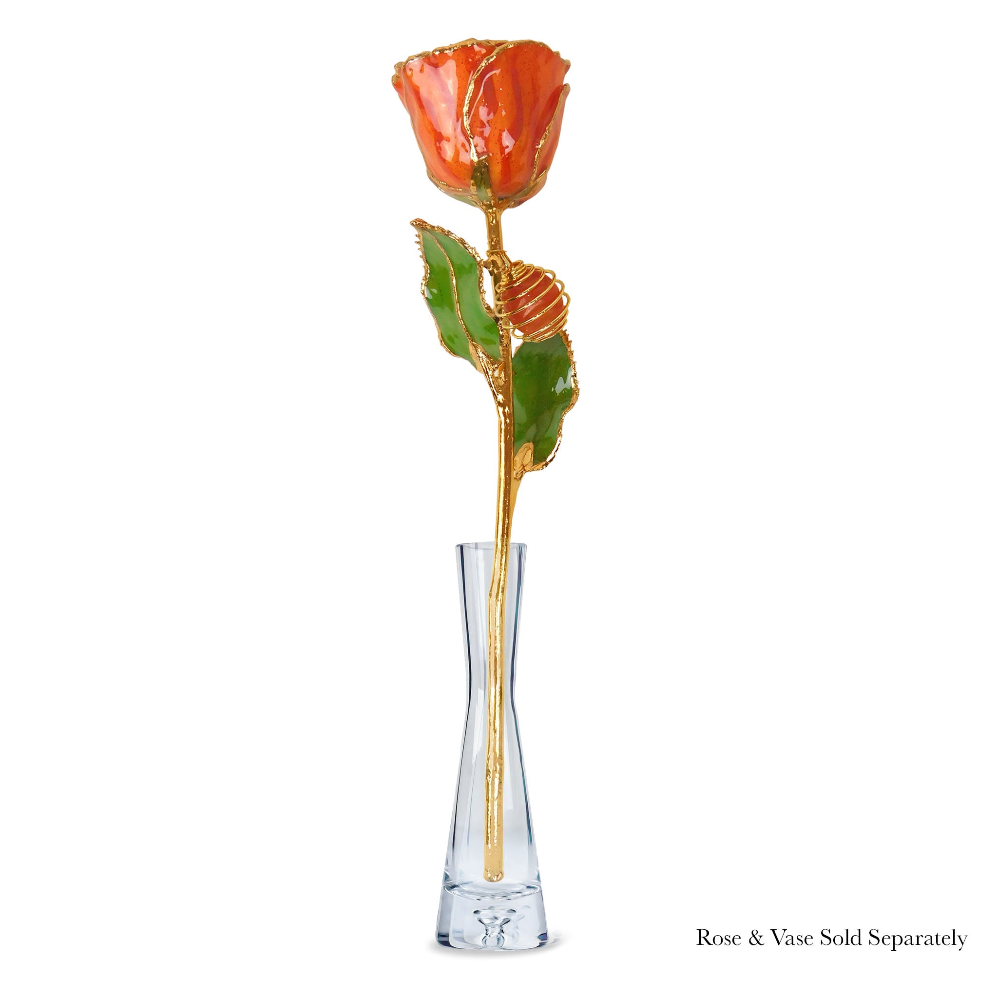 24K Gold Forever Rose - Carnelian