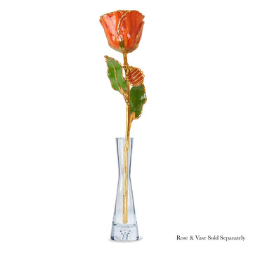 24K Gold Forever Rose - Carnelian