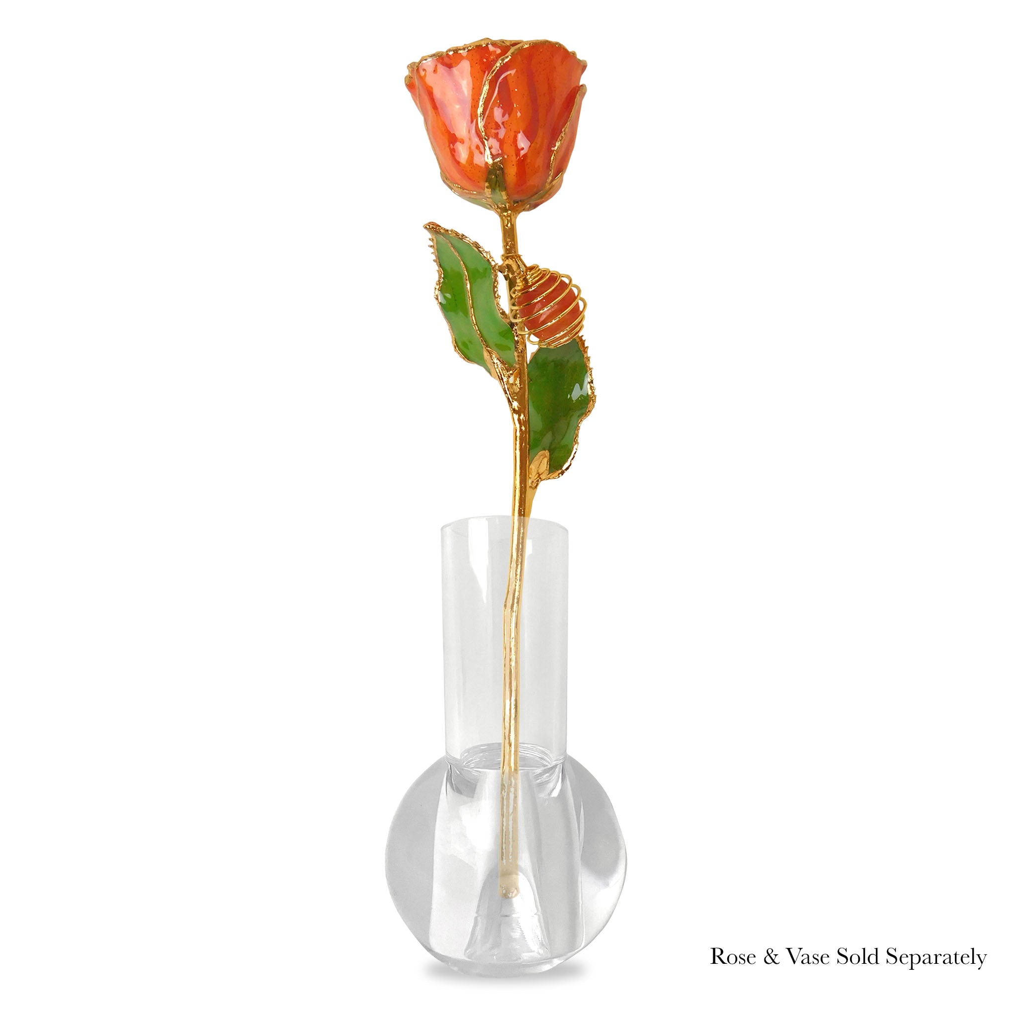 24K Gold Forever Rose - Carnelian