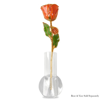 24K Gold Forever Rose - Carnelian