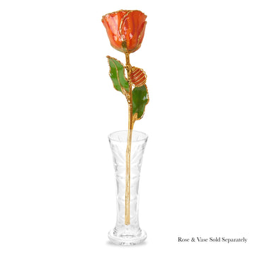 24K Gold Forever Rose - Carnelian