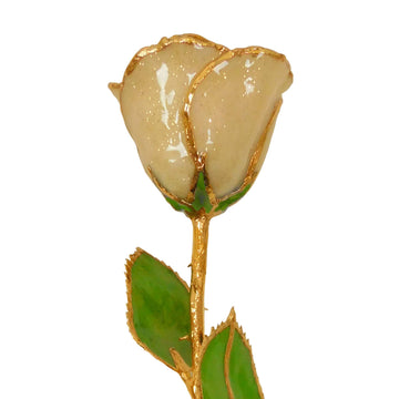 24K Gold Forever Rose - Champagne (Wine Not Included)