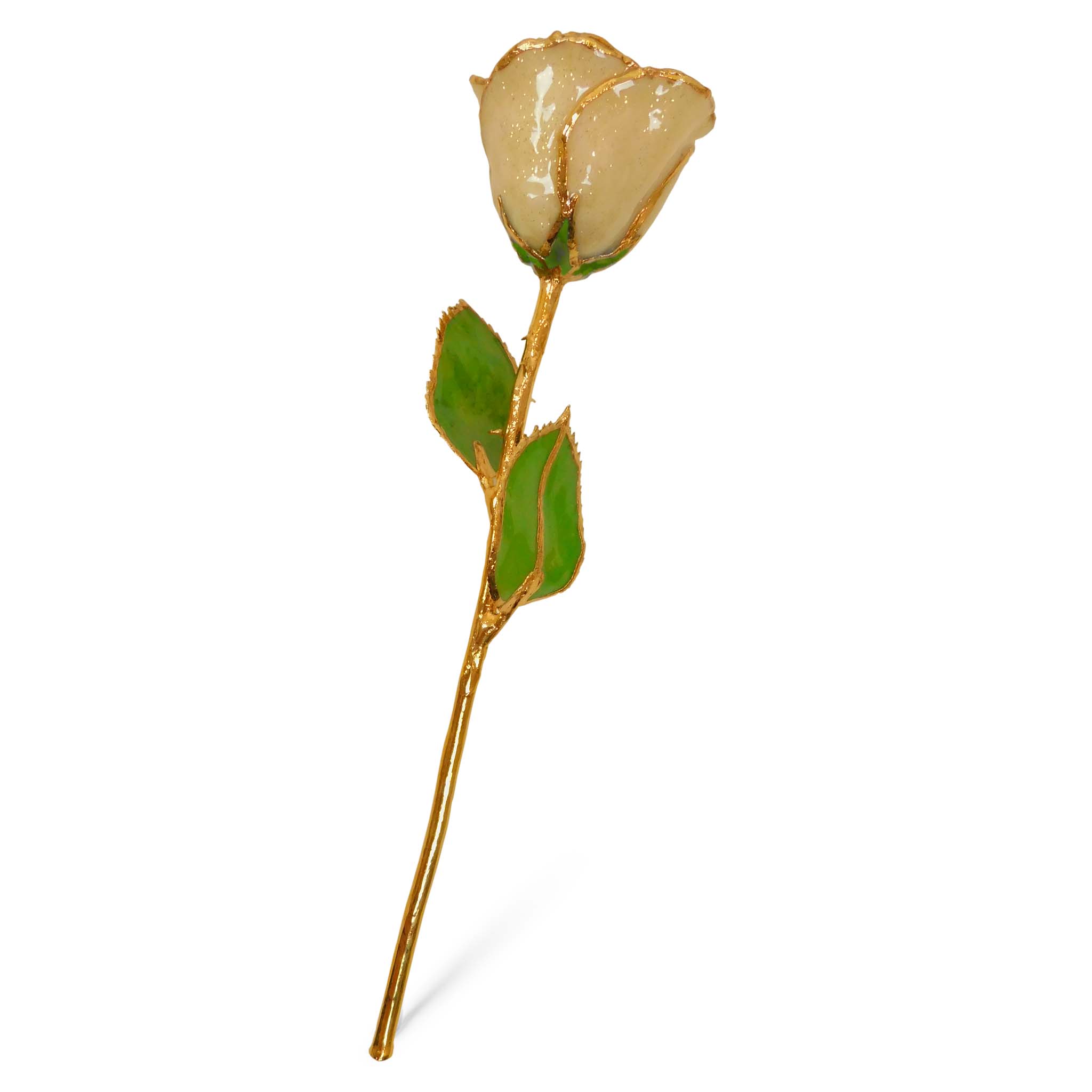24K Gold Forever Rose - Champagne (Wine Not Included)